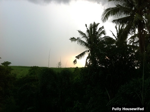 traviesa watermark 2