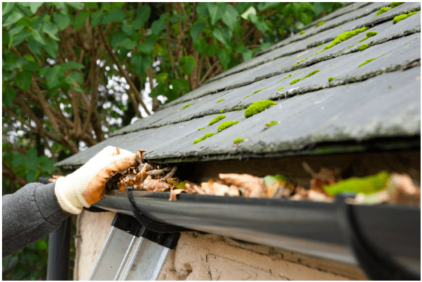 5 Gutter Cleaning Tips You Must Know